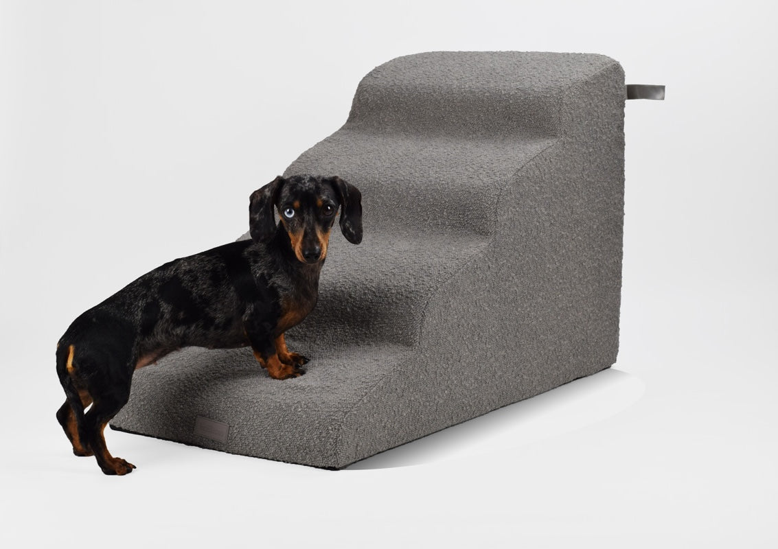 Hundetreppe MilkyWay – Orthopädische Treppe für Sofa & Bett