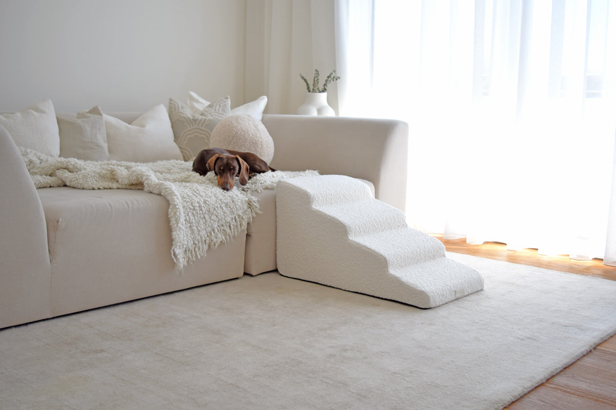 Hundetreppe MilkyWay – Orthopädische Treppe für Sofa & Bett